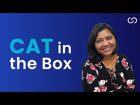 CAT in the Box: How explainable AI is revolutionizing stroke diagnosis | Capitole Insights