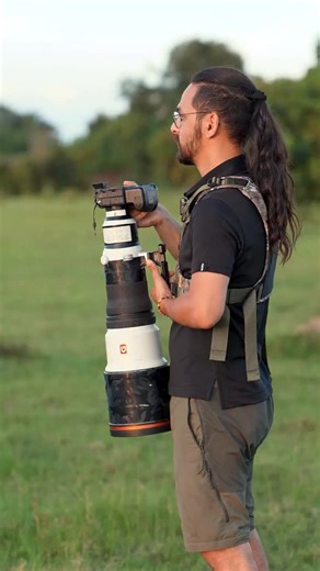 Sasan Amir | Wildlife Photographer on Instagram: "Hidden deep within the misty forests of Uganda lives one of our planet’s most extraordinary creatures — the mountain gorilla. Watching them is like looking into a mirror of ourselves: their emotions, their bonds, their gentleness. Only a few hundred remain, and every encounter is a rare reminder of how fragile and precious life in the wild truly is. #MountainGorilla #Uganda #WildlifePhotography #GorillaTrekking #Conservation #WildlifeGlobal #Sasa