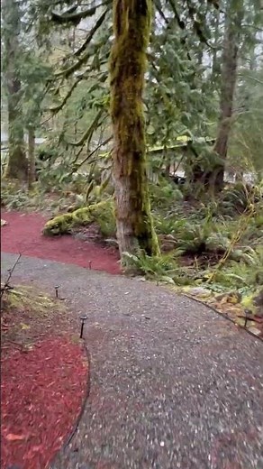 Riverfront Living in North Bend Washington 🌲🏡 | 3 Bed Home on the Water!I