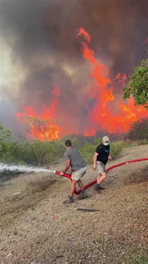 Massive flames rage with extraordinary force, their violent movement suggesting an almost feral intensity within the fire. The blaze surges and thrashes uncontrollably, as though something powerful is forcing its way outward—an image akin to a demon clawing through walls of pure flame. The inferno has engulfed parts of Mossel Bay, dominating the skyline and underscoring the severe and unpredictable nature of the fire as emergency services continue to assess the situation. #f #v #vira
