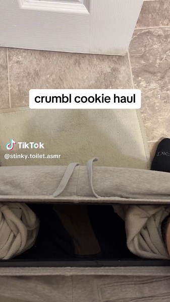 toilet asmr on TikTok