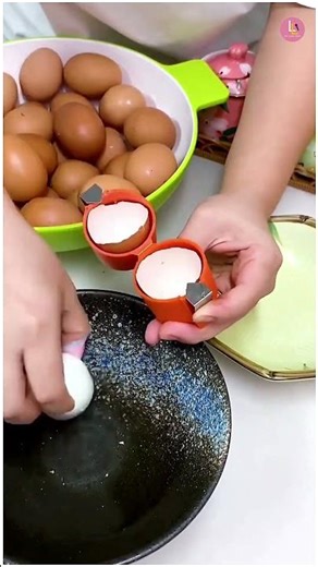 ফেলে দেয়া ডিমের খোসা থেকে বিলিয়ন ডলারের Business | Start an Eggshell Powder Business from Home