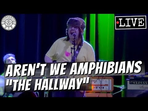 Aren't We Amphibians "The Hallway" LIVE