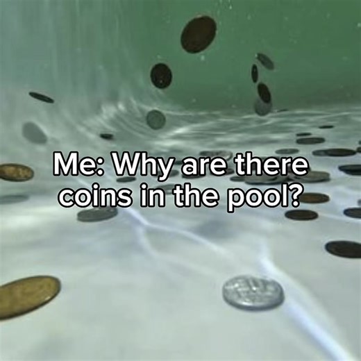 Funny Moments Around Bibi and the Pool