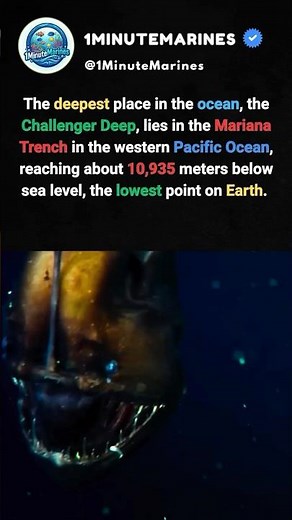 Mariana Trench Is Deeper Than You Think 😳 #shorts