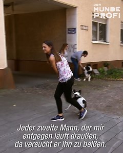 Am Napf, während des Spaziergangs oder im Umgang mit Artgenossen: Die französische Bulldogge Django ist immer wieder hochgradig aggressiv. Kein leichter Fall für „Hundeprofi“ Martin Rütter – zu sehen am Samstag, ab 16:55 Uhr, bei VOX. | Der Hundeprofi