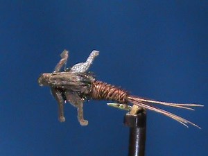 Beginner Fly Tying a Lively Legz Pheasant Tail with Jim Misiura