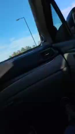 Donald Ernest Heizer (@donheizer)’s videos with original sound - pillforthethrill