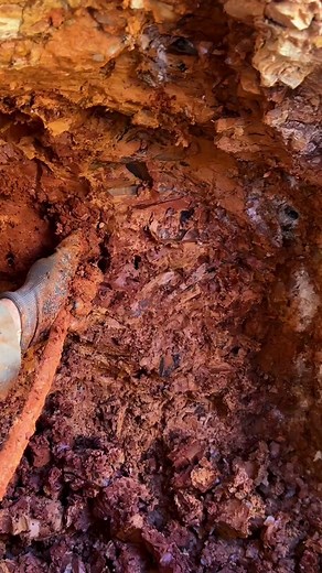 The Ultimate Crystal Hunting Adventure in Unicorn Pocket, Arkansas