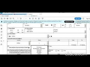 Imm 008 Generic Application Form Minor Child Canada Child Sponsorship Step by Step Full Information