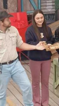 gatorland Orlando Florida #shorts #reptiles #snake #gatorland