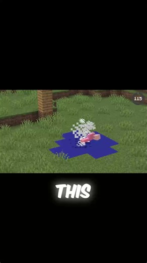 This creator found a seed that literally spawns a fully playable Skyblock island! 🤯 But the wild differences between Java and Bedrock don't stop there—the fishing rod durability gap (384 vs 64!) is criminal. You also get a look at the only three blocks naturally existing across every dimension and a secret for a working survival vacuum. Wait until you see the villager wearing Frost Walker boots like it has superpowers! Pure, essential Minecraft knowledge bombs dropped. 🔥 #MinecraftFacts #Minec