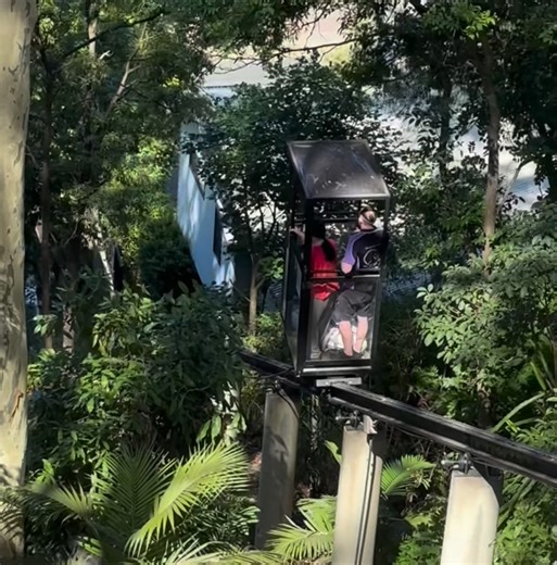 Lucas Jonathon Thexton Glover on Instagram: "This is an extremely low point for me. I don’t like the fact that people use social media to just show the positive parts of their lives, or to show an unrealistic version of the reality of life. I think that just creates a lot of insecurity and self esteem issues in a lot of people. Life can be amazing and devastating. If you’re going to show one, you should show both. I hugged Xander for the last time today, then he was taken away to the crematorium