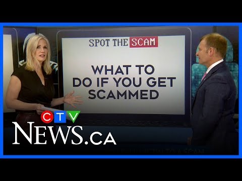 Spot the Scam Week: What to do if you get scammed