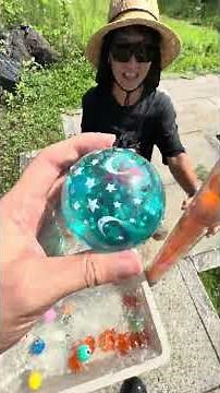 Marble Run 🟠⭐️ Grab the Dragon Balls before they scatter! Marble Run Race2
