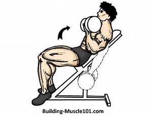 63K views · 316 reactions | Incline dumbell curls are the most effective exercise if you have hit a plateau in making size gains to your biceps. Perform this exercise with a weight which fails you at 12reps and then push three more reps to push through, perform for three sets. | Iron-Core Fit | Facebook