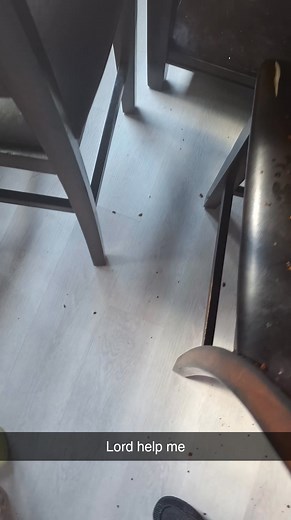 Man why do Baby Jo have to eat chicken like this 😩 😫 😭 | Patsy Marks