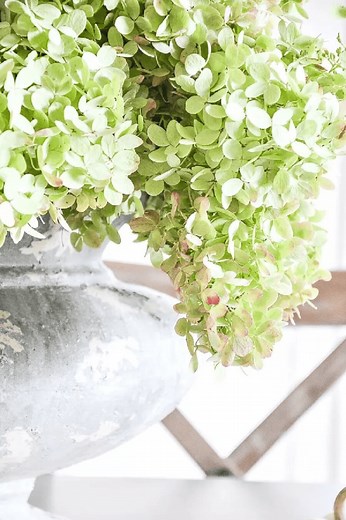 How To Dry Beautiful, Showy Hydrangeas The Easy Way