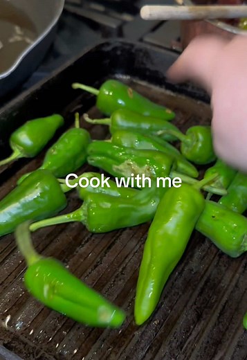 Delicious Garlic Naans and Chicken Lasagne Recipe