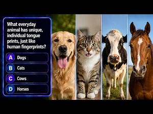 30 Trivia Quiz Trivia Multiple Choice Questions