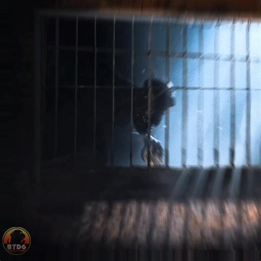 Indoraptor Animation Edit - A Jurassic World Tribute