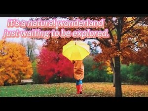 beautiful colors best fall foliage drive nature rain and relaxing Autumn Ontario in Canada 🇨🇦2025🍁