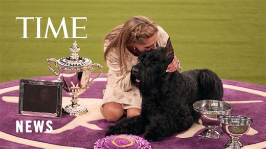 70K views · 922 reactions | After coming close in the last two years, Monty the giant schnauzer won the top prize at the Westminster Kennel Club dog show Tuesday night, leaving handler and co-owner Katie Bernardin almost too emotional to speak. https://ti.me/3WXgmgm | TIME | Facebook