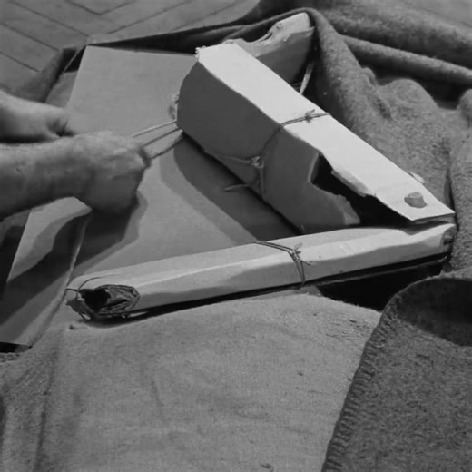 291K views · 2.8K reactions | they could still be in the bed & wait for the guards to leave then get to work | Moviebox | Facebook