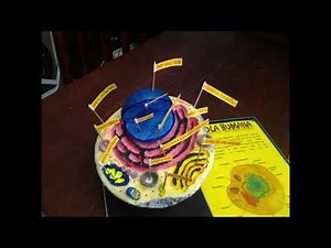MAQUETA DE LA CÉLULA HUMANA