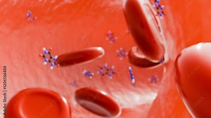 3D animation of uric acid molecules and red blood cells inside of blood vessel. Hyperuricemia occurs when there is too much uric acid in the blood.