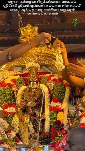 மதுரை கள்ளழகர் திருக்கல்யாண வைபவம். நான்கு நாச்சியார்களுக்கும் மாங்கல்ய தாரணம்