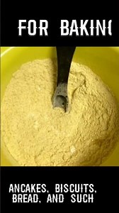 Edible Wild Plants in the Midwest: Cattails