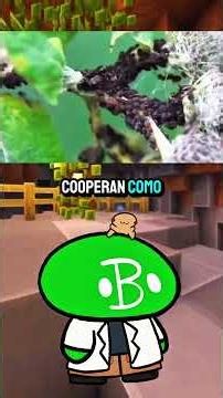 🇦🇷 The Argentine Ant is taking over the world 🐜🌍