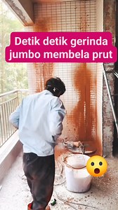 1.1K reactions · 47 shares | This is the risk of splitting a wall...