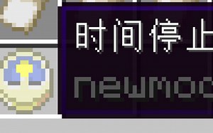 [MC1.16.5]一个关于时停的测试