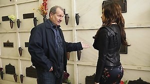 Watch Modern Family Season 2 Episode 17 - Two Monkeys and a Panda