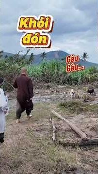 Monk Minh Thien Moves Like the Wind During 2025 Flood Relief Efforts #chuaduchoa #phuhailua