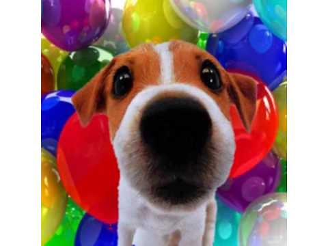 Happy Birthday Bill! - Your Personal Birthday Video