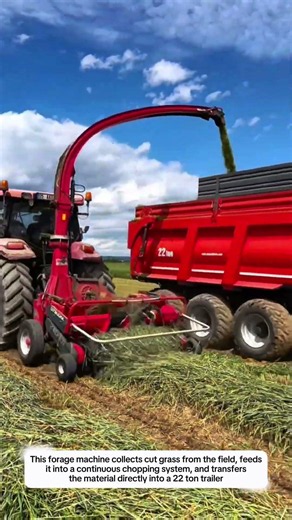 Forage Harvester Machine Create 22 Ton High Density Silage Loads Using Continuous Chop & Blower Tech