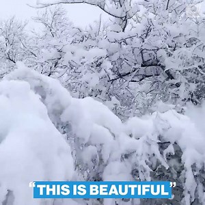 78K views · 2.3K reactions | “THIS IS BEAUTIFUL”: Record snowfall transforms Del Rio, Texas, into a winter wonderland, with accumulation reaching over 11 inches. https://abcn.ws/2OShDFd | ABC News | Facebook