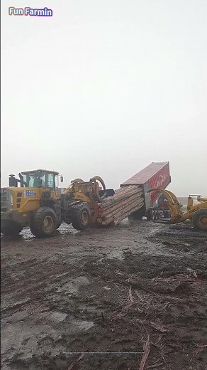Der Holzverladeprozess: Ein Beweis für industrielle Stärke