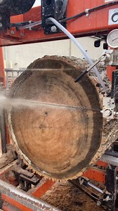 It's Sawmill Saturday! We never stop loving sawmills, and today we're featuring @sedgetool (TikTok) working away on an LT40WIDE. Keep tagging us in your content using #sawmillsaturday or by tagging us! #woodmizer #sawmill #thewoodlife | Wood-Mizer