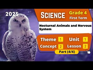 Nocturnal Animals and Nervous System | G4 | Unit 1 - Concept 2 - Lesson 2 - Part (3/4) | Science