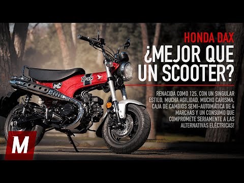 Honda DAX 125: The Urban Combustion Scourge! | Test and Review
