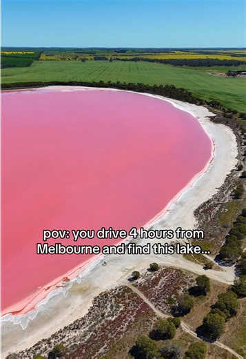 Stunning pink lake in Victoria 😍📸 - Situated four hours from Melbourne in the small town of Dimboola, this magical pink lake is a breathtaking natural wonder! Known as Loch Iel, the lake’s incredible pink colour comes from naturally occurring algae that thrive in the salty water, producing pigments that turn the lake vibrant shades of pink! Its colour can change depending on the season so try your best to visit after rain events and pick a sunny day for the best display of colour! If you’re ro