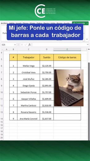 Así se crea un código de barras en Excel jefecito 😎✅️ #exceltips #excel #excelcce | Cámara de Comercio Exterior