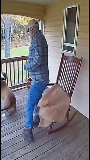 Pitbull vs Wild Bear to protect the character #dogshorts #pitbull #bear #animalfight