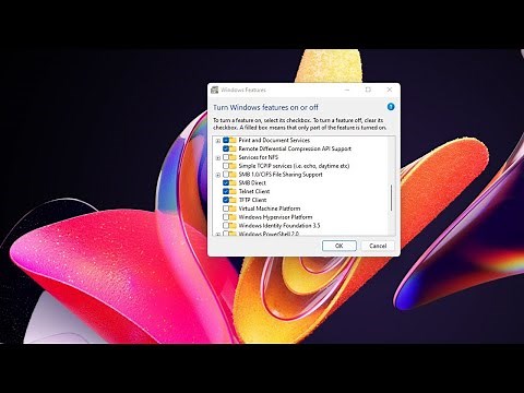 Windows 11 Enabling Telnet Client