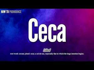 Ceca Pronunciation | How to Pronounce (say) Ceca CORRECTLY | Meaning Definition