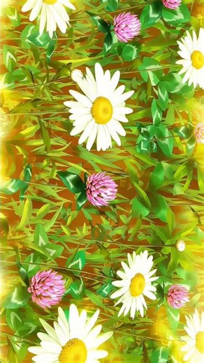 4K dreams in an anime frame.” 🌸